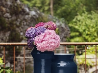 Cuoppo Vase by Miniforms