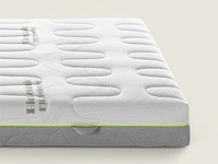Fitness-Basic Dorsal Mattress