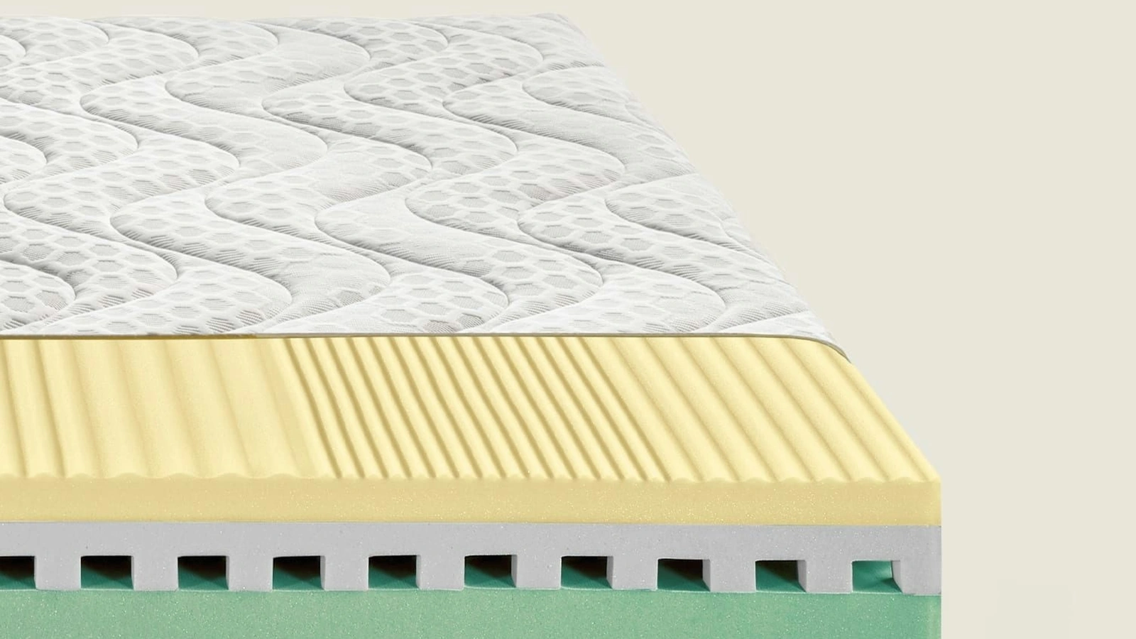 Dorsal Matrix Memory Mattress
