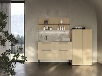LAB+ LD001 Bathroom Cabinet by Compab