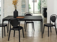 Parisienne polycarbonate chair by Calligaris