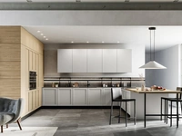 Modern Kitchen with Alma 02 island in PET and laminate by Arredo3