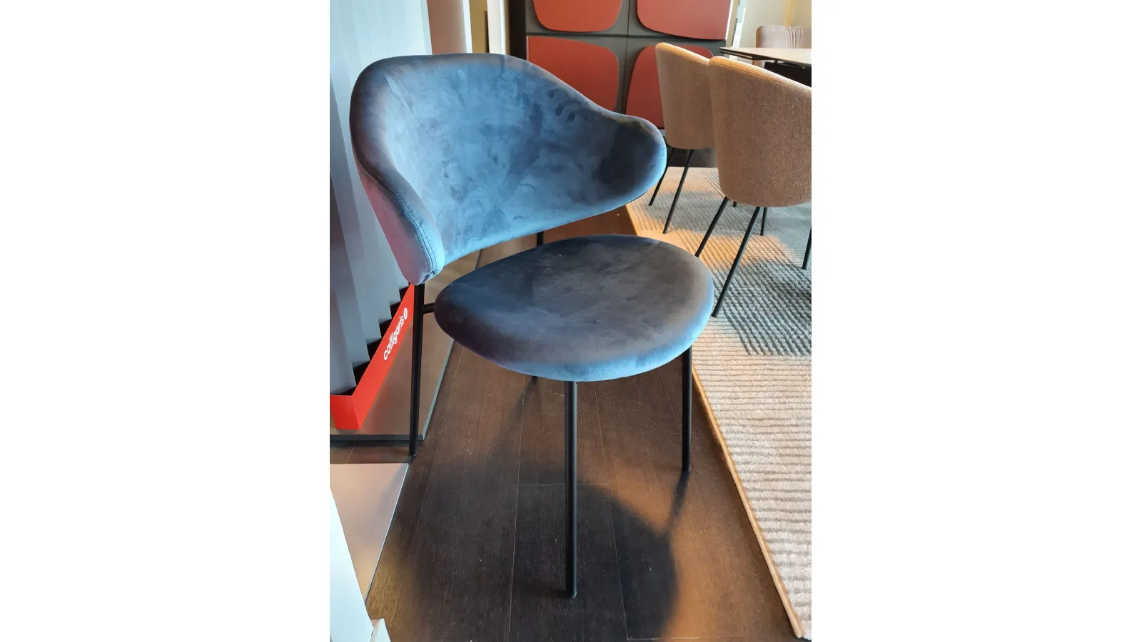 HOLLY BLU translates to 