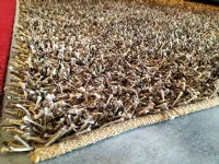 Shaggy carpet