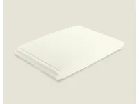 Dorsal Baby Energy Pillow