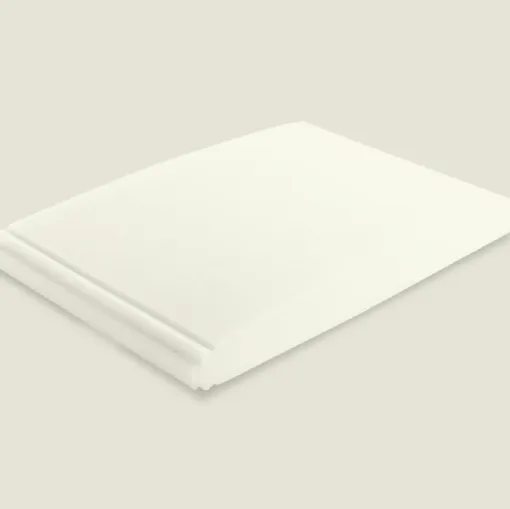 Dorsal Baby Energy Pillow