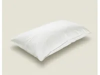 Dorsal Puff Pillow