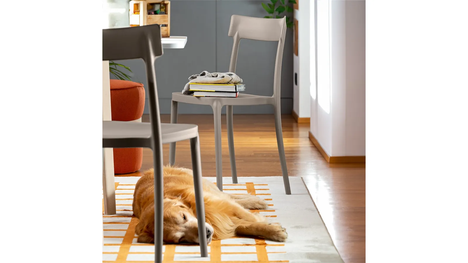 Argo chair in polypropylene by Connubia
