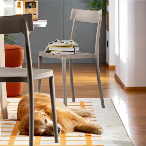 Argo chair in polypropylene by Connubia
