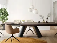 Cocoon swivel chair by Calligaris
