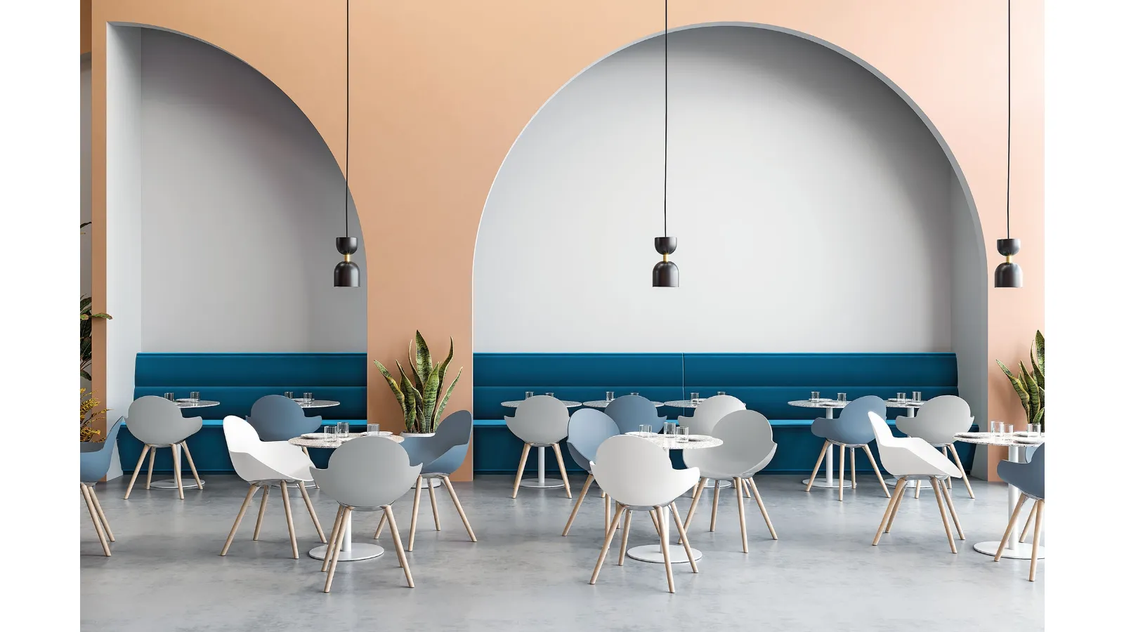 Cookie Wooden Legs chair with polypropylene shell and Solid Natural Beech legs by Infiniti.