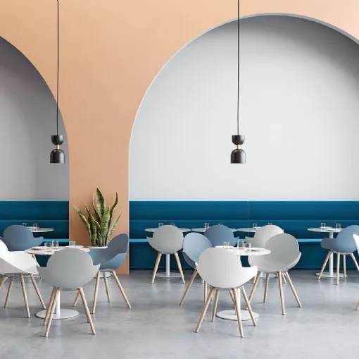 Cookie Wooden Legs chair with polypropylene shell and Solid Natural Beech legs by Infiniti.