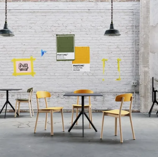 Feluca Organic Chair in polypropylene with wooden frame by Infiniti.