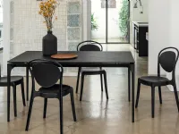 Parisienne polycarbonate chair by Calligaris