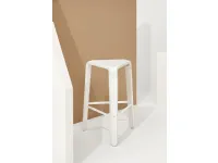 Picapau Stool in White polypropylene with White lacquered solid Beech wood frame by Infiniti