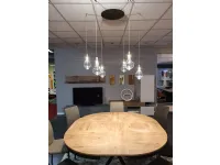 Translate the following phrase into