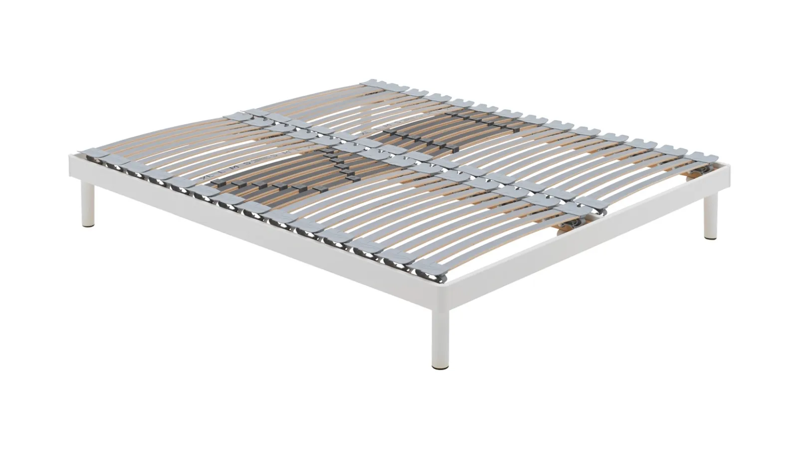 Fixed Free Dream Network of Veneto