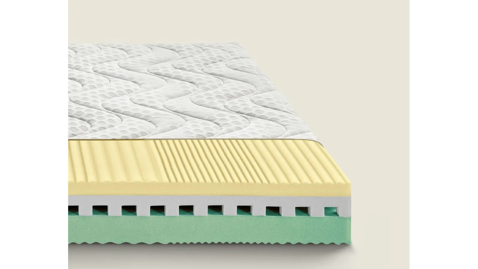 Dorsal Matrix Memory Mattress