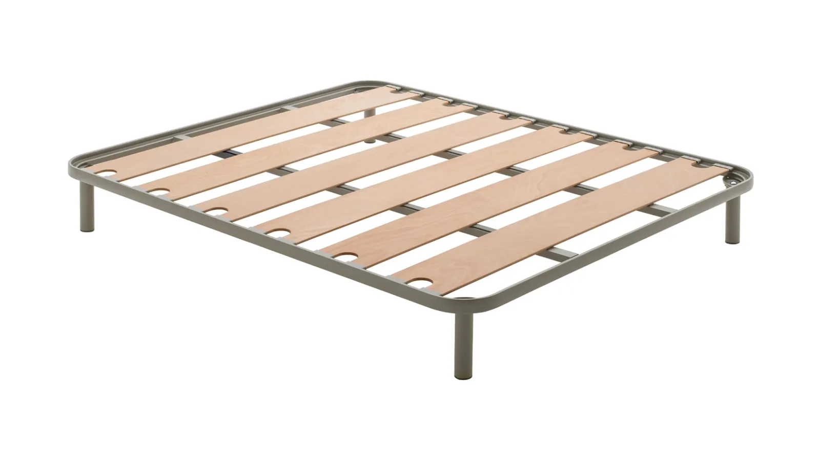 Olympia Dream Network of Veneto