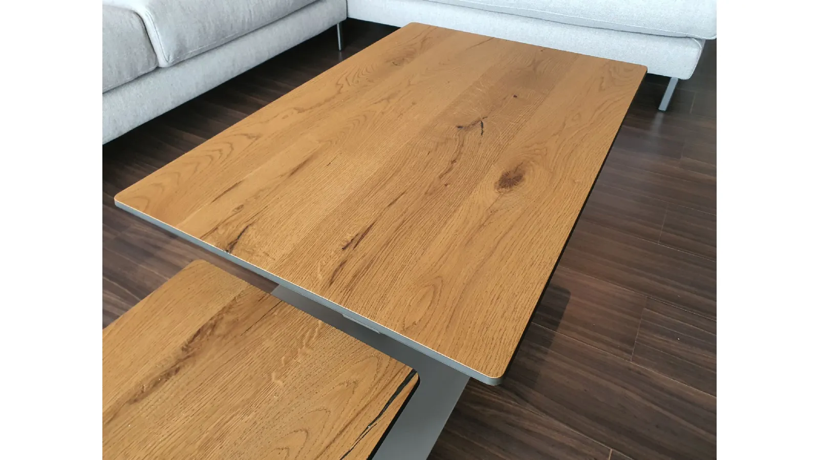 Translate the following sentence into