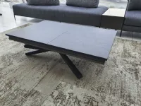 Translate the following sentence into