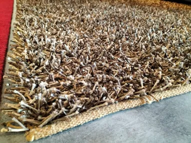 Shaggy carpet