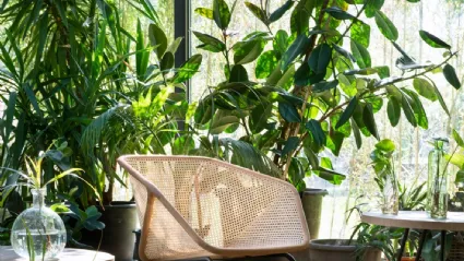 Colony Armchair by Miniforms
