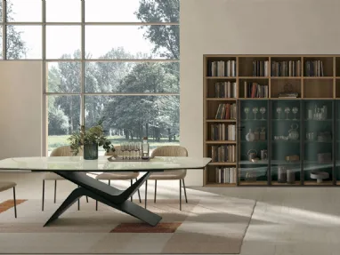 Atlas bookshelf UNIT AT231 by Tomasella