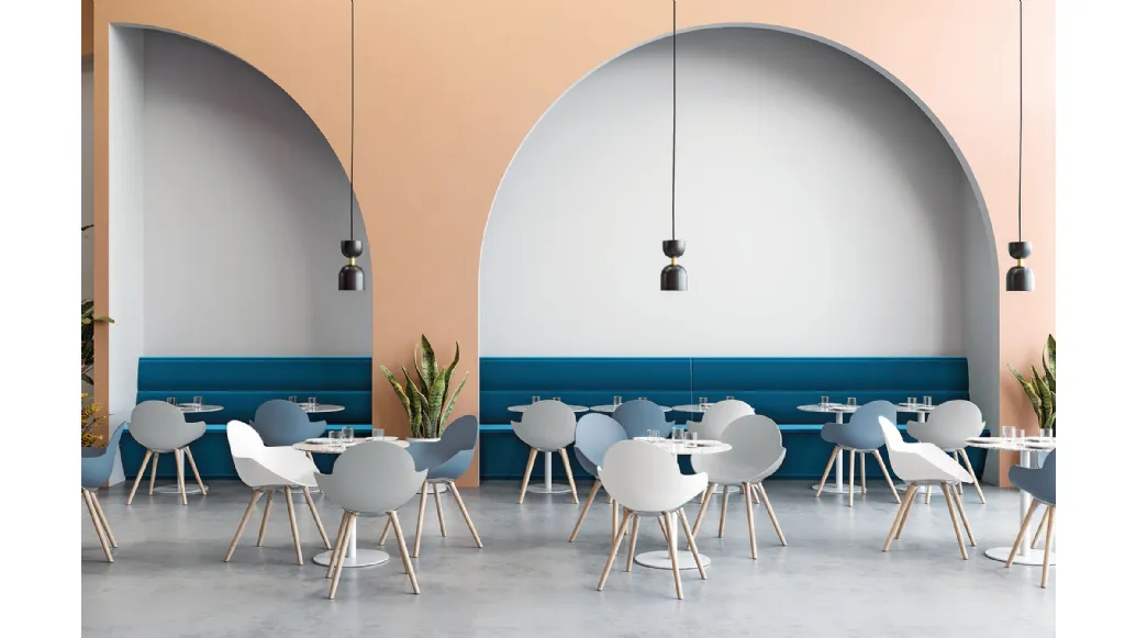 Chair Cookie Wooden Legs with polypropylene shell and solid Natural Beech legs by Infiniti.