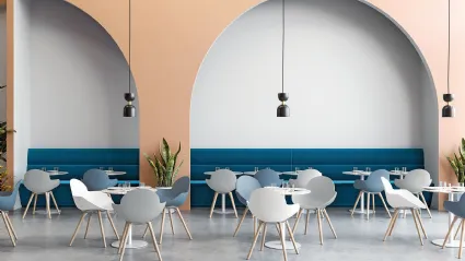 Chair Cookie Wooden Legs with polypropylene shell and solid Natural Beech legs by Infiniti.