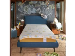 Dorelan Re Evolution mattress