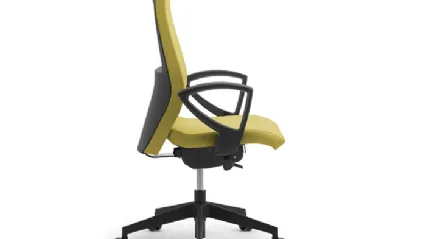 Operative Plus sitting of Brianza Chairs
